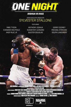 One Night: Joshua vs. Ruiz's poster