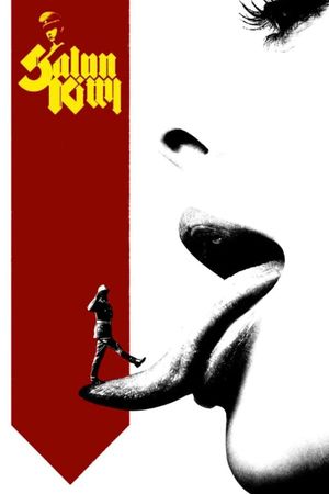 Madam Kitty's poster