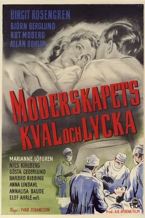 Moderskapets kval och lycka's poster
