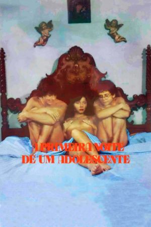 A Primeira Noite de Uma Adolescente's poster image