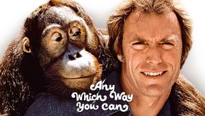 Any Which Way You Can's poster