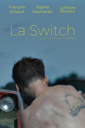 The Switch's poster