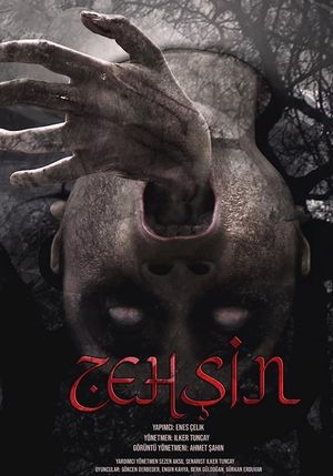 Zehsin Cin-i Musallat's poster