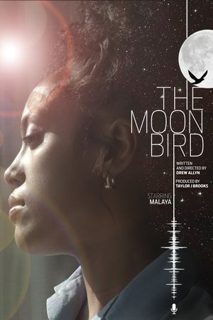 The Moon Bird's poster