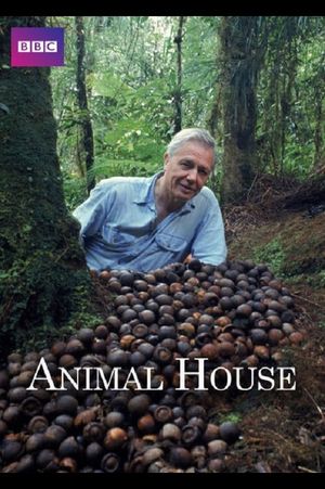 Animal House's poster