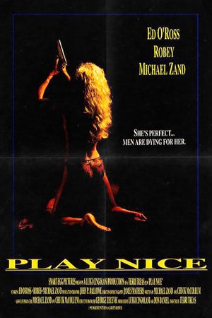 Play Nice's poster