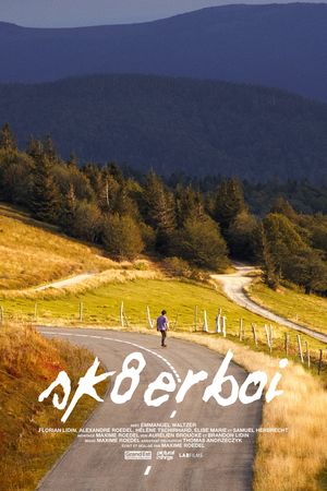 Sk8erboi's poster image