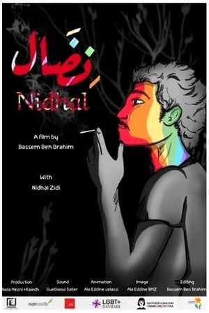 Nidhal's poster
