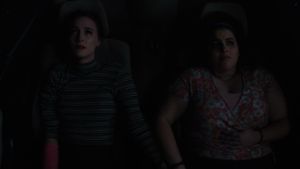 Lady Bird's poster