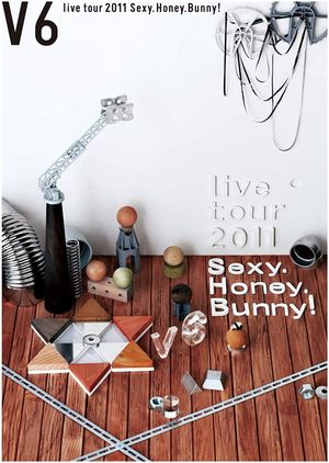 V6 live tour 2011 Sexy.Honey.Bunny!'s poster image