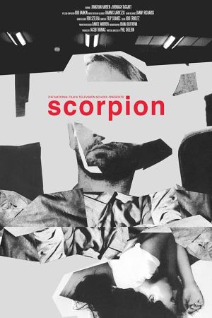 Scorpion's poster