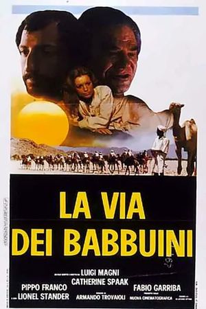 La via dei babbuini's poster