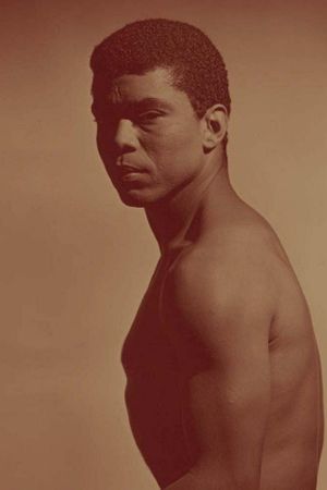 Edges of Ailey's poster