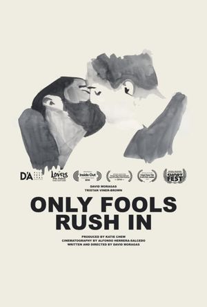 Only Fools Rush In's poster image