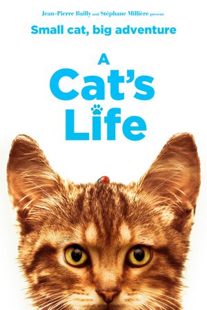 A Cat's Life's poster