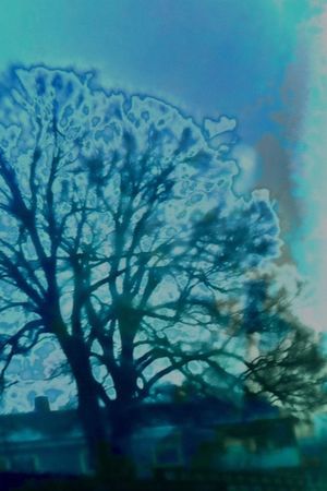 Blue Lazarus's poster