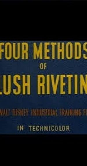Four Methods of Flush Riveting's poster