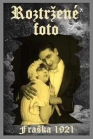 Roztržené foto's poster
