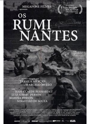 Os Ruminantes's poster