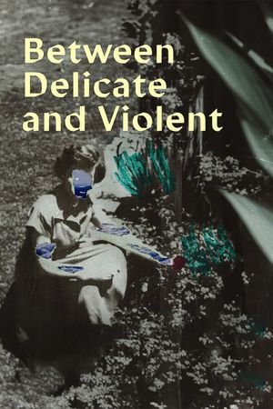 Between Delicate and Violent's poster
