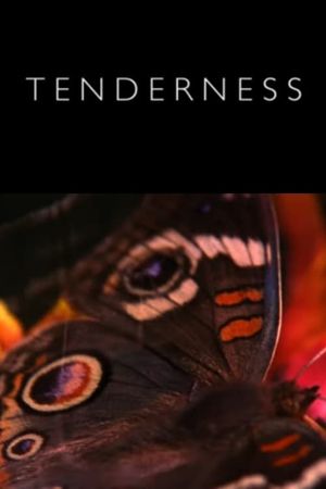 Tenderness's poster