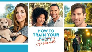 How to Train Your Husband or (How to Pick Your Second Husband First)'s poster