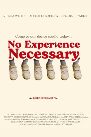 No Experience Necessary's poster