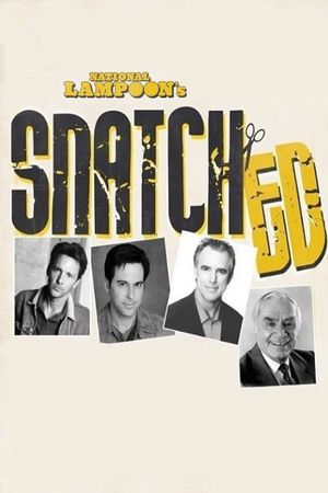 Snatched's poster