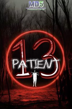 PATIENT 13's poster