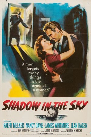 Shadow in the Sky's poster