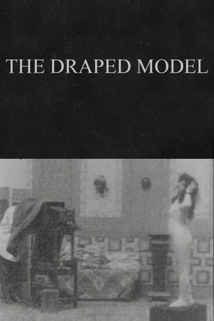 The Draped Model's poster