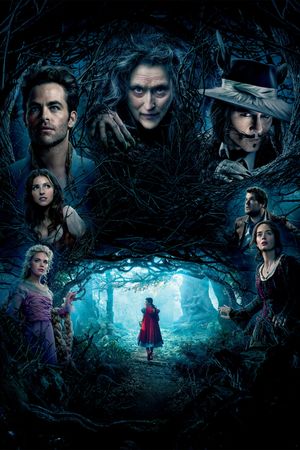 Into the Woods's poster