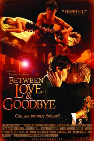Between Love & Goodbye's poster
