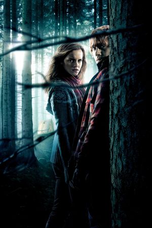 Harry Potter and the Deathly Hallows: Part 1's poster