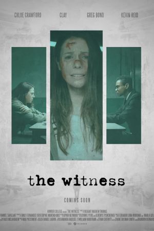 The Witness's poster
