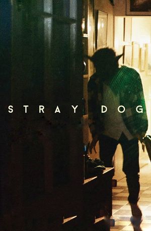 Stray Dog's poster