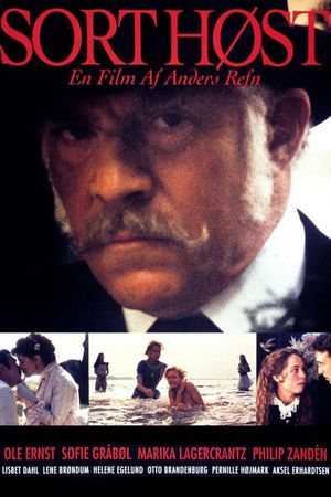 Black Harvest's poster