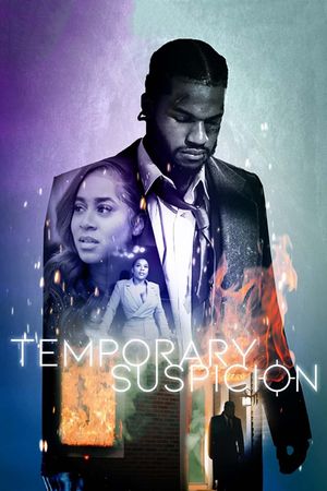 Temporary Suspicion's poster