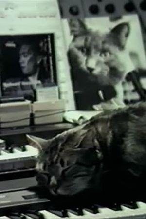 Cat Listening to Music's poster