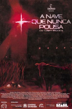 A Nave Que Nunca Pousa's poster