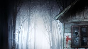 Cottage Country's poster