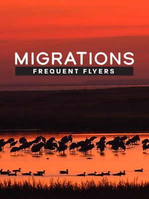 Migrations: Frequent Flyers's poster