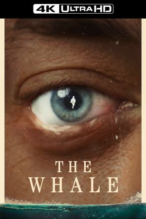 The Whale's poster