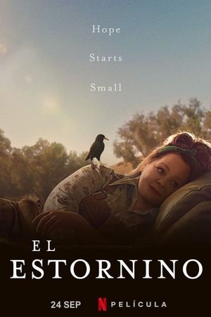The Starling's poster