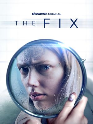 The Fix's poster