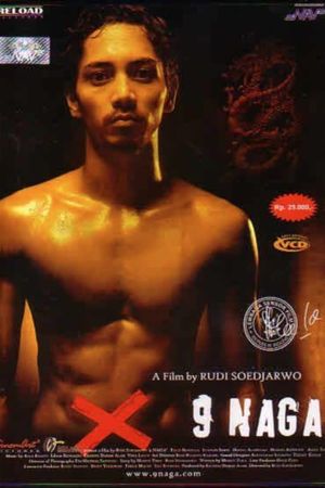 The Nine Dragons's poster