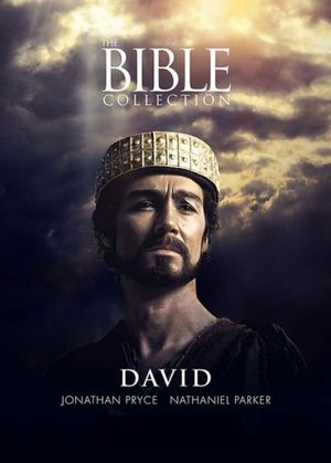 David's poster