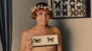 Daisies's poster