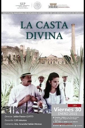 La casta divina's poster