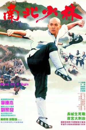 Martial Arts of Shaolin's poster